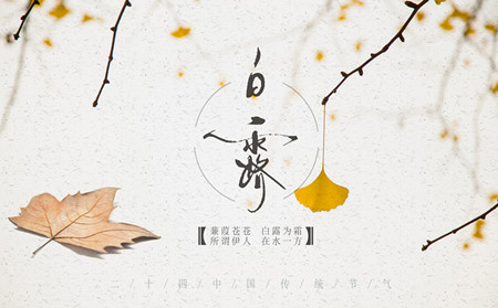 银屑病引起,白露节气,潍坊银屑病研究院