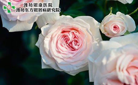 牛皮癣患者秋冬季节应该注意些什么?